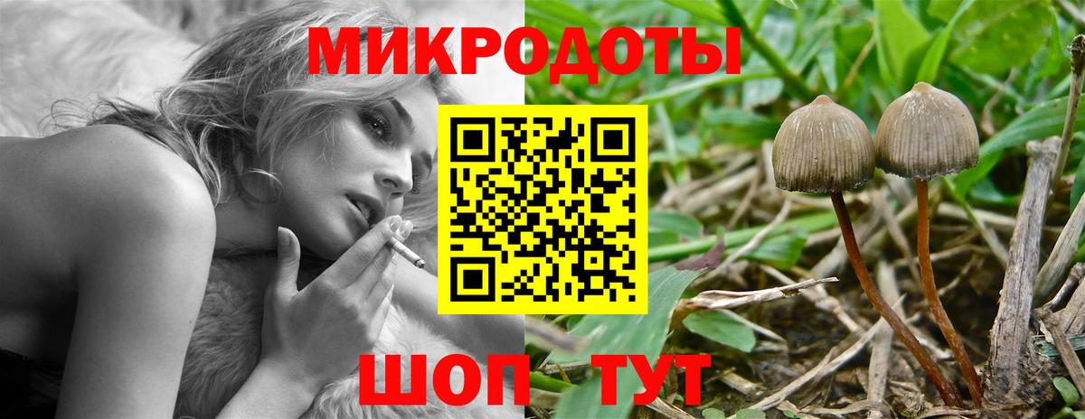 Галлюциногенные грибы прущие грибы Арсеньев