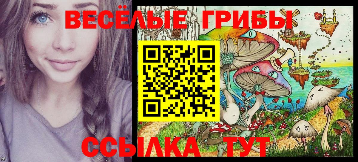 Псилоцибиновые грибы Psilocybe  Вход с VPN  Арсеньев  Псилоцибиновые грибы GOLDEN TEACHER 
